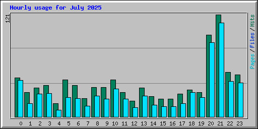 Hourly usage for July 2025