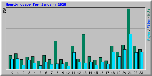 Hourly usage for January 2026
