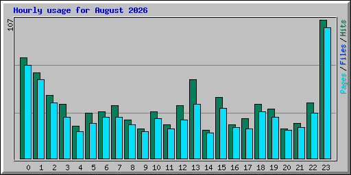 Hourly usage for August 2026